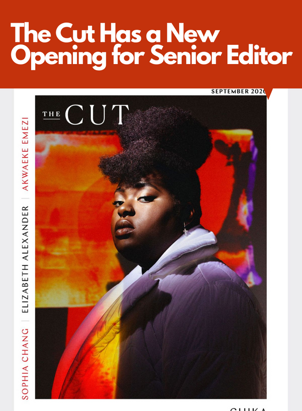 The Cut Posted a New Position Opening for Senior Editor